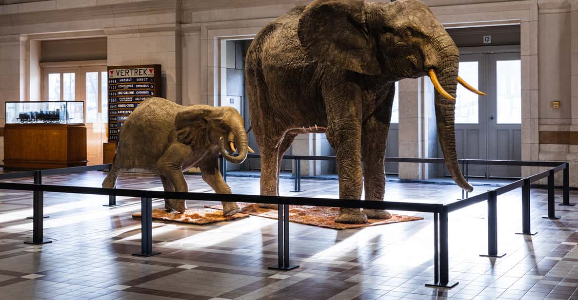 Afbeelding 14 van Brussel: Toegangsticket Trein Wereld Museum