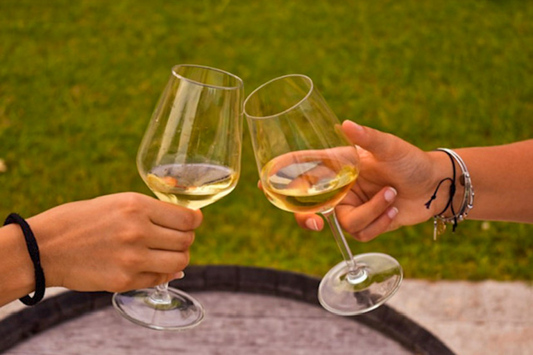 Sirmione: Vineyard Tour with Lugana Wines and Local Tastings 5 Wines