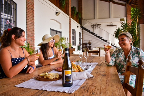 Sirmione: Vineyard Tour with Lugana Wines and Local Tastings 5 Wines