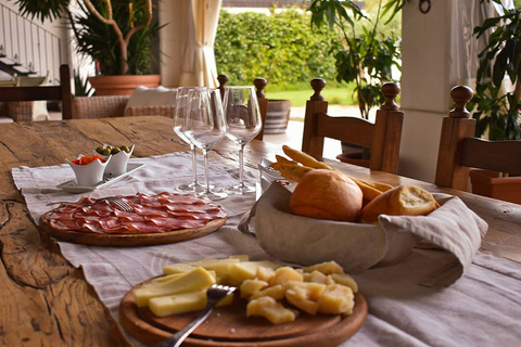 Sirmione: Vineyard Tour with Lugana Wines and Local Tastings 5 Wines