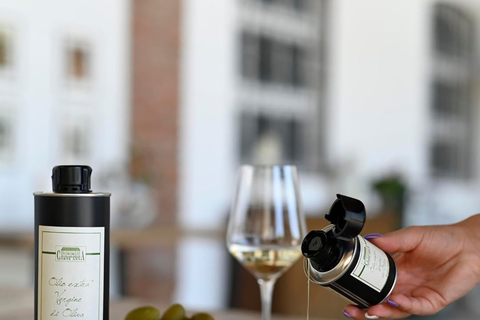 Sirmione: Vineyard Tour with Lugana Wines and Local Tastings 5 Wines