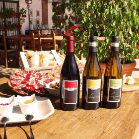 Sirmione, Vineyard Tour with Lugana Wines and Local Tastings - Housity
