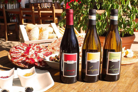 Sirmione: Vineyard Tour with Lugana Wines and Local Tastings 5 Wines