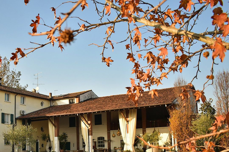 Sirmione: Vineyard Tour with Lugana Wines and Local Tastings 5 Wines