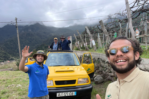 Madeira: tour guidato con degustazione di vini, safari in jeep e punti panoramici