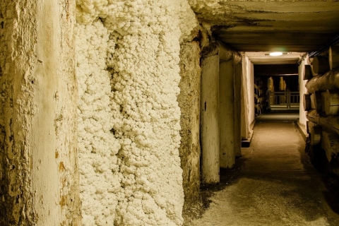 From Krakow: Wieliczka Salt Mine Guided Tour Tour in Polsih with Meeting Point