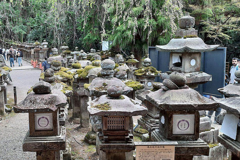Nara: Kasuga Taisha Shrine Candlelight Tour with Drink