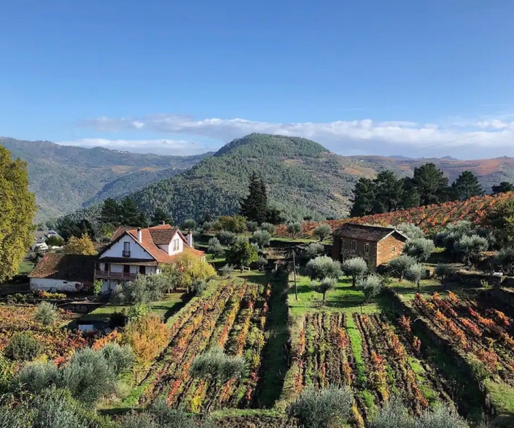 Provas de Vinhos Orgânicos Naturais / Visita a uma Quinta no Vale do Douro