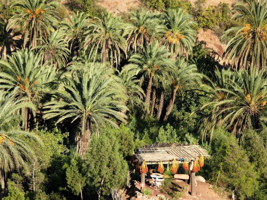 Tripadvisor, Paradise Valley Agadir fornecido pela Cross Morocco Tours