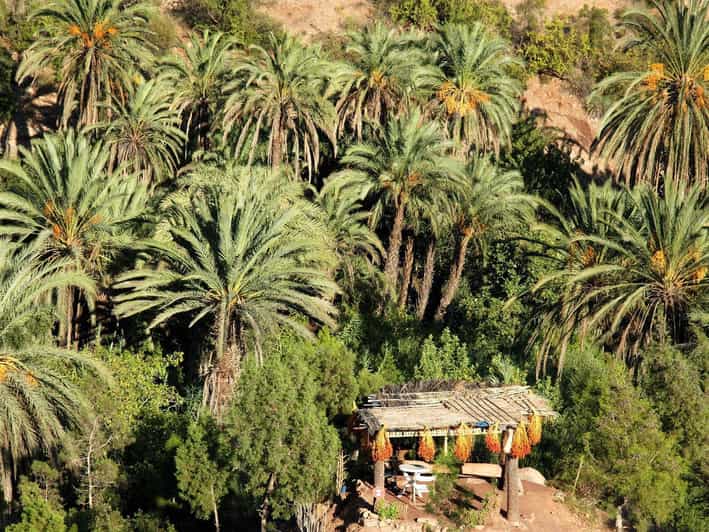 Agadir or Taghazout Paradise Valley Atlas Swimming & Lunch GetYourGuide