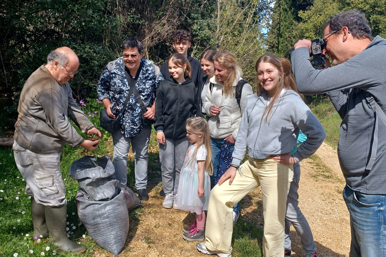 Corfou: visite privée d'olive avec dégustation d'huile d'olive et meze