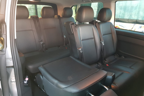 From Naples: 1-Way Private Transfer to Pompeii