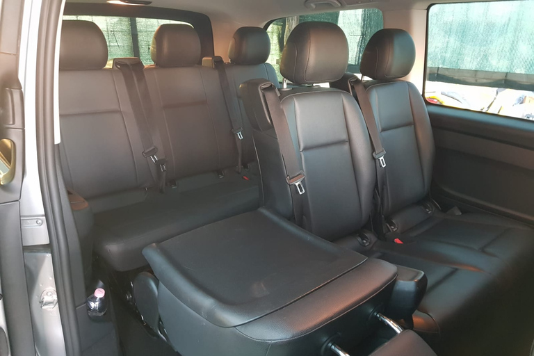 From Naples: 1-Way Private Transfer to Pompeii