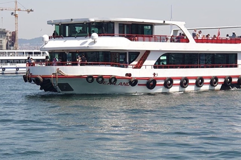 Croisière du soir sur le Bosphore à IstanbulVisite guidée en bateau du Bosphore à Istanbul en soirée