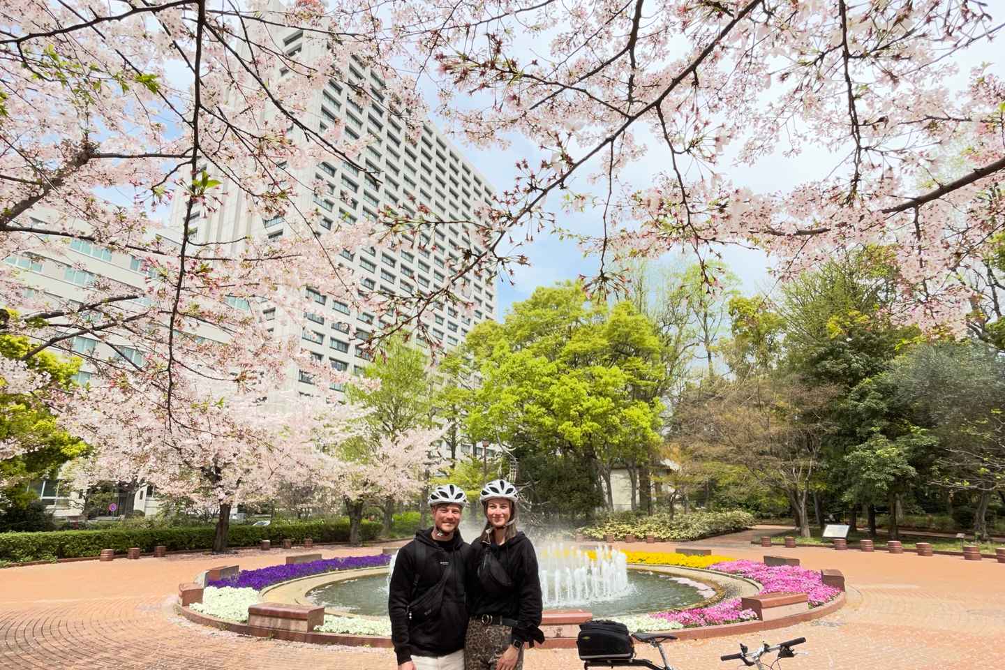 bike tours in tokyo | embark on a full-day tour of tokyo's most popular landmarks