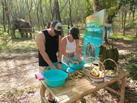 Khao Lak, 2-Stunden-Elefant Sanctuary Eco-Walk mit geführt - Hizvo
