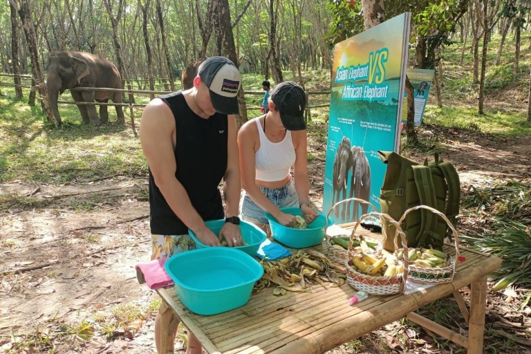 3-godzinne spotkania ze słoniami, pozdrawianie i jedzenie