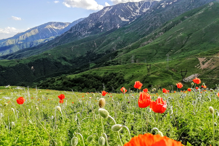 A day trip to Haghpat and Sanahin monasteries