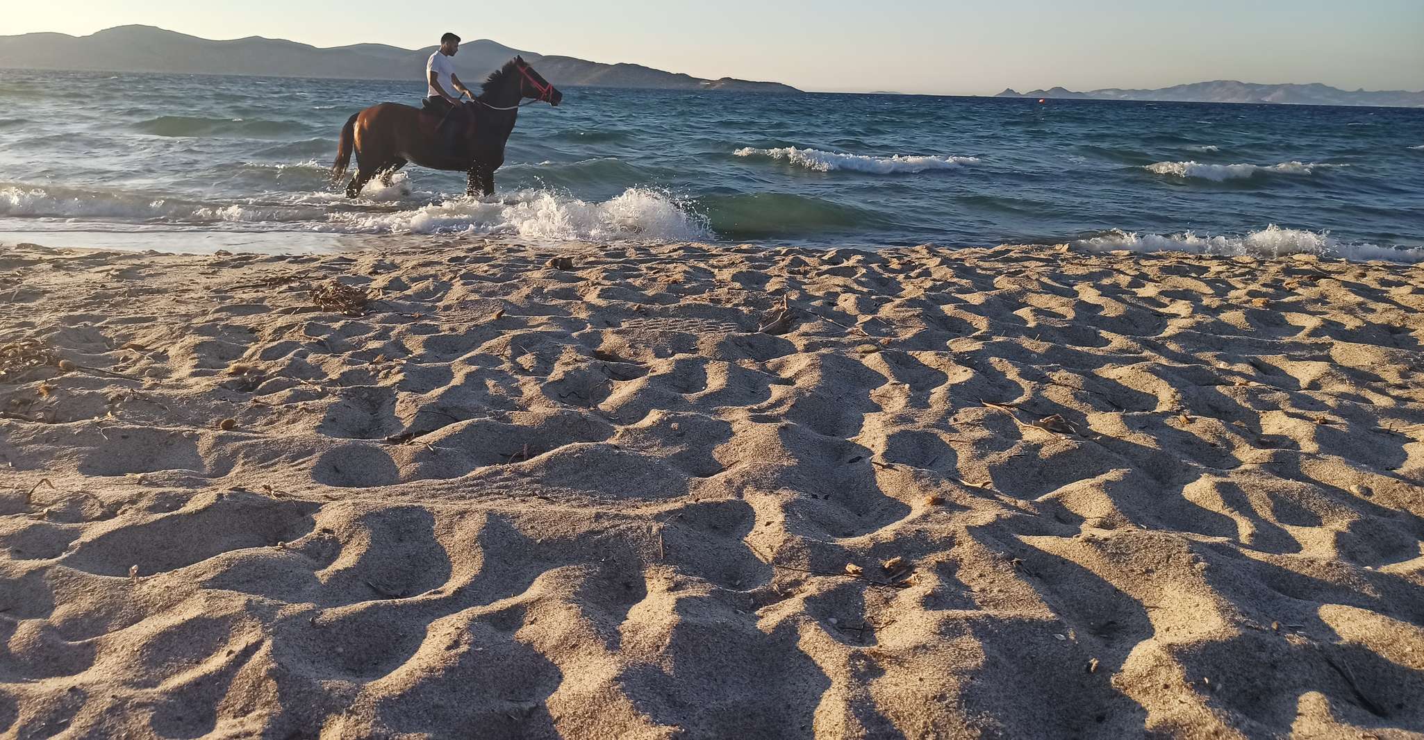 Kos, Horse Riding Experience on the Beach with Instructor - Housity