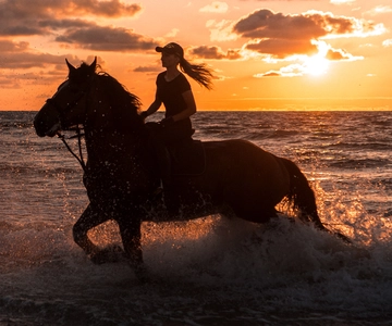 Kos: Horse Riding Experience on the Beach with Instructor