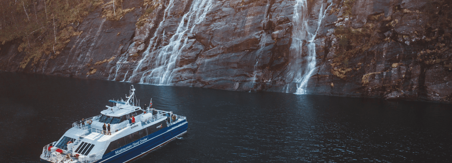 guided fjord tours proff