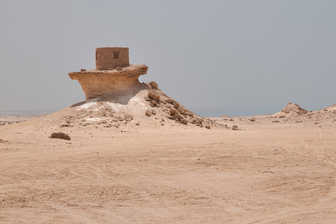 Dukhan Excursión de medio día por la costa oeste de QatarExcursión Privada por la Costa Oeste desde Doha