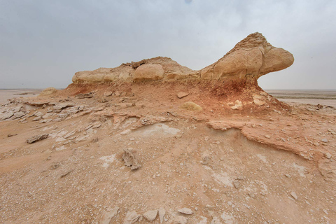 Dukhan Excursión de medio día por la costa oeste de QatarExcursión Privada por la Costa Oeste desde Doha