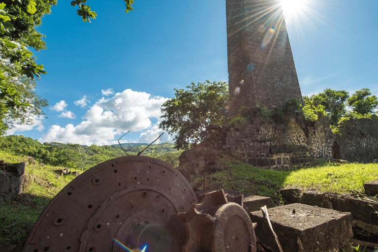 Mauritius: Rezerwat przyrody Bel Ombre Buggy RideMauritius: Bel Ombre Reserve Eco-Buggy Ride