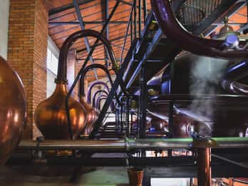 Jarnac: Braastad cognac discovery tour
