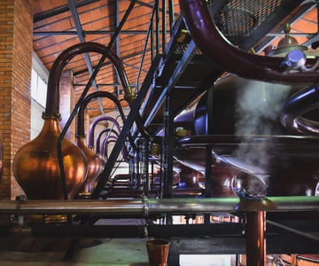 Jarnac: Braastad cognac discovery tour
