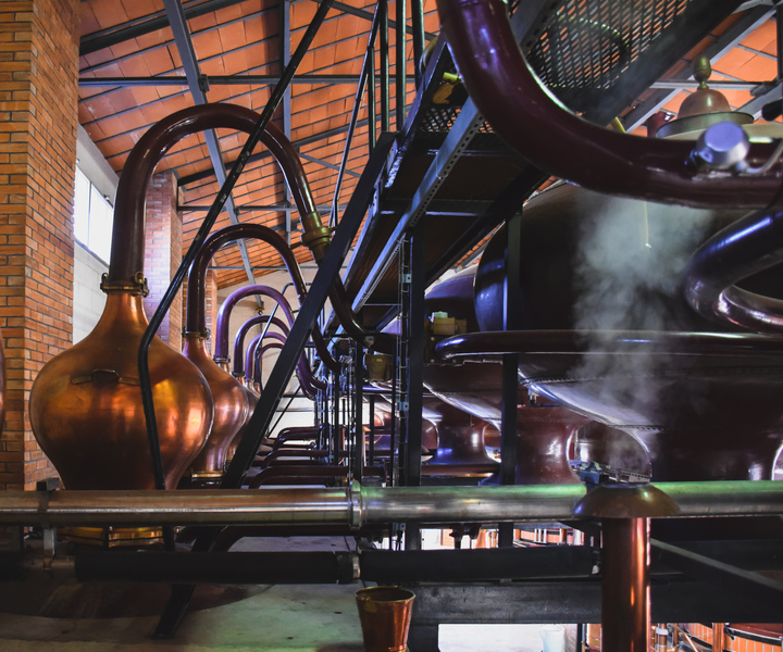 Jarnac: Braastad cognac ontdekkingstocht