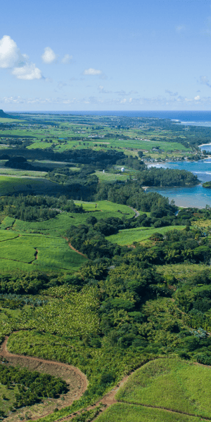 Bel Ombre Nature Reserve, Quad Bike Tour - Housity