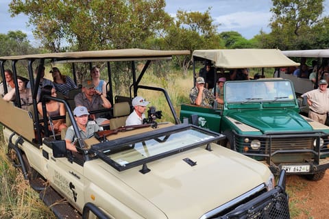 Dinokeng Game Reserve, Gauteng - Book Tickets & Tours | GetYourGuide