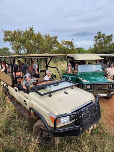 Da Johannesburg: safari di mezza giornata alla Dinokeng Game Reserve