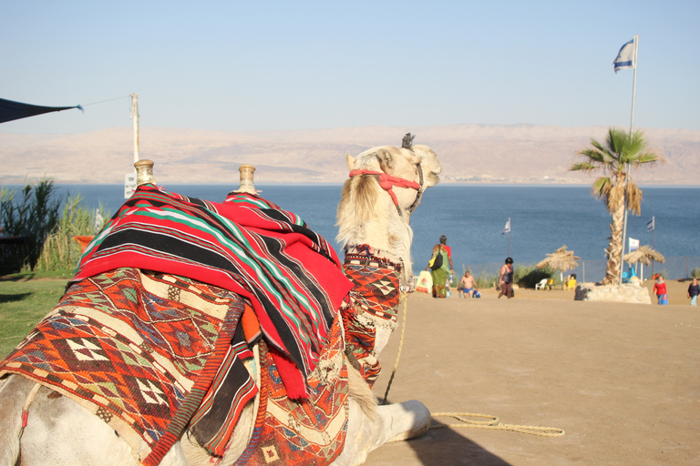 From Tel Aviv: Dead Sea Self-Guided Chill-Out Day Trip