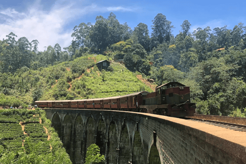 Nanu Oya: Scenic Train to Ella Reserved Seats with Transfers