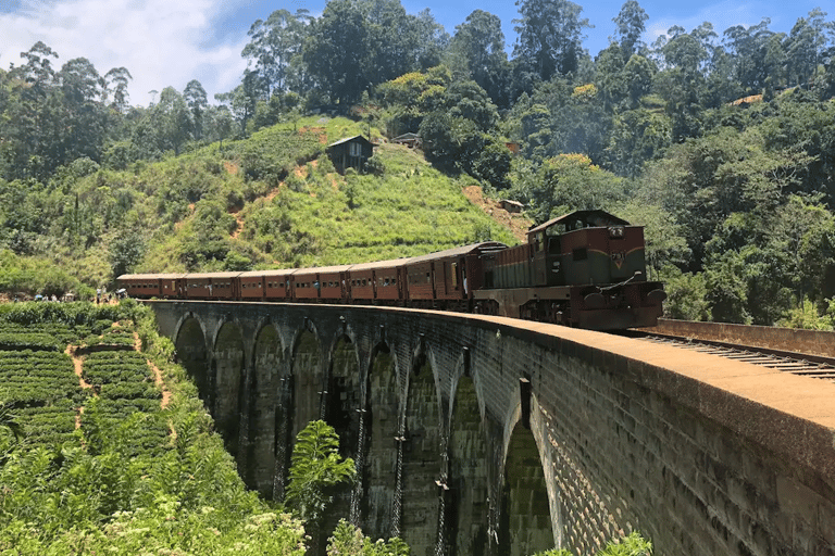 Nanu Oya: Scenic Train to Ella Reserved Seats with Transfers