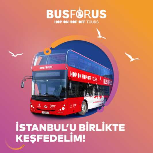 Estambul: Hop-On Hop-Off Tour en autobús turístico de dos pisos Billete de 2 días