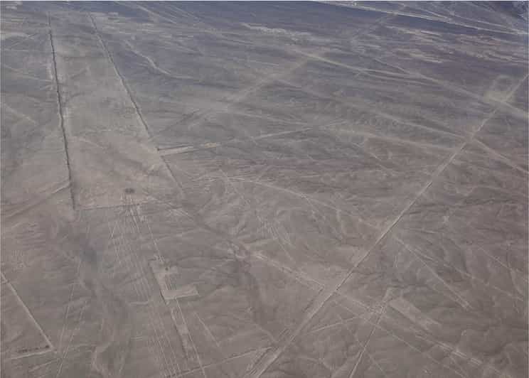 From Lima Nazca Lines Flight with Huacachina Buggy Tour GetYourGuide