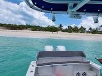 Nassau, Rose Island Plaging Pigs & Turtles Tour - Housity