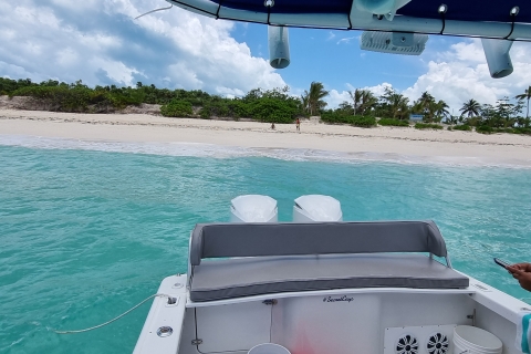 Nassau: Wycieczka do snorlekingu ze świniami i żółwiami na Rose Island