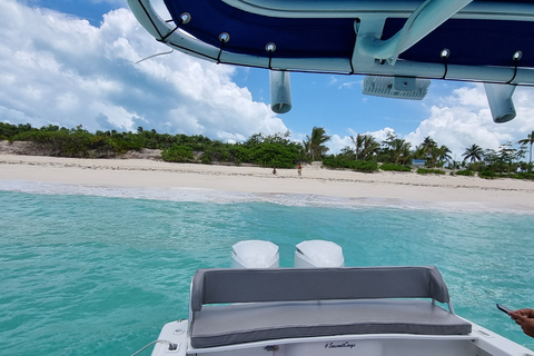 Nassau: Rose Island Swimming Pigs & Turtles Snorleking Tour