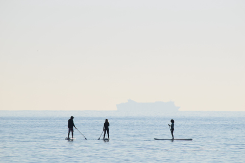 Los Cristianos: Aluguel de 1 hora de Paddle SurfLos Cristianos: Aluguel de paddle surf