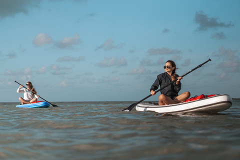 Los Cristianos: Aluguel de 1 hora de Paddle SurfLos Cristianos: Aluguel de paddle surf