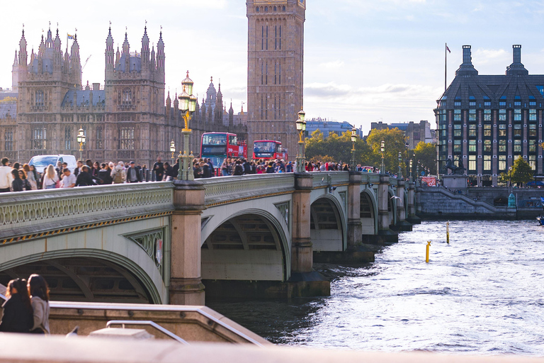 Southampton Cruise Port Transfer to London with Tour