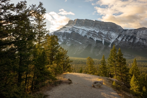 Banff: hoogtepunten en dieren in het wildWintertocht