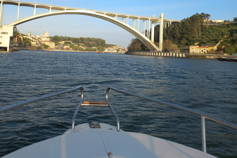 Porto : Croisière privée sur le fleuve DouroPorto : Visite en bateau privé