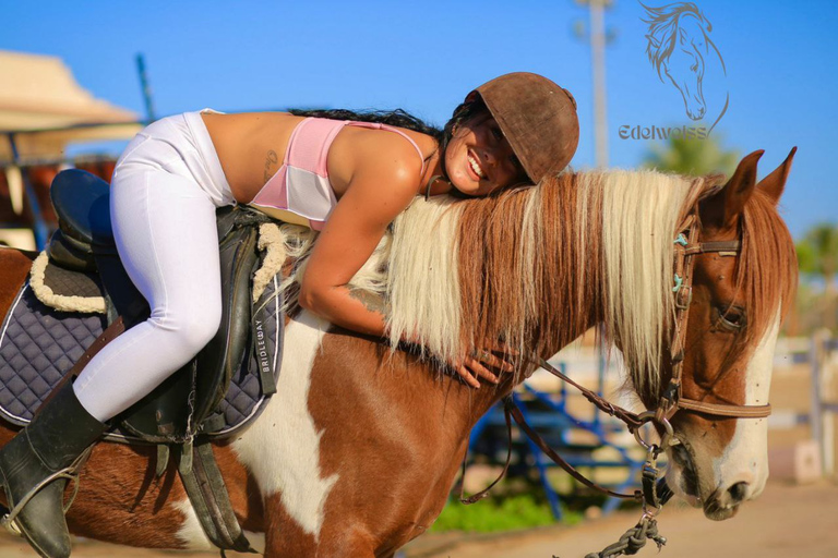 Playa de Sharm El shiekh y excursión a caballo por el desiertoExcursión de 2 horas a caballo por la playa y el desierto