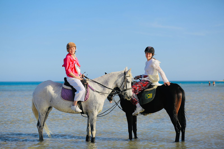 Visite de Sharm El shiekh Beach & Desert Horse Riding TourCircuit de 2 heures à cheval sur la plage et dans le désert