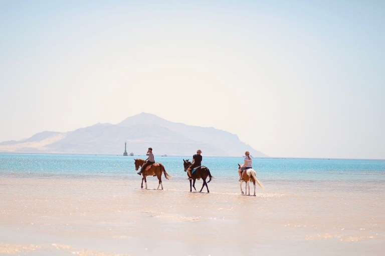 Sharm El Shiekh Strand & Wüste Reiten Tour2-stündige Strand- und Wüsten-Reittour